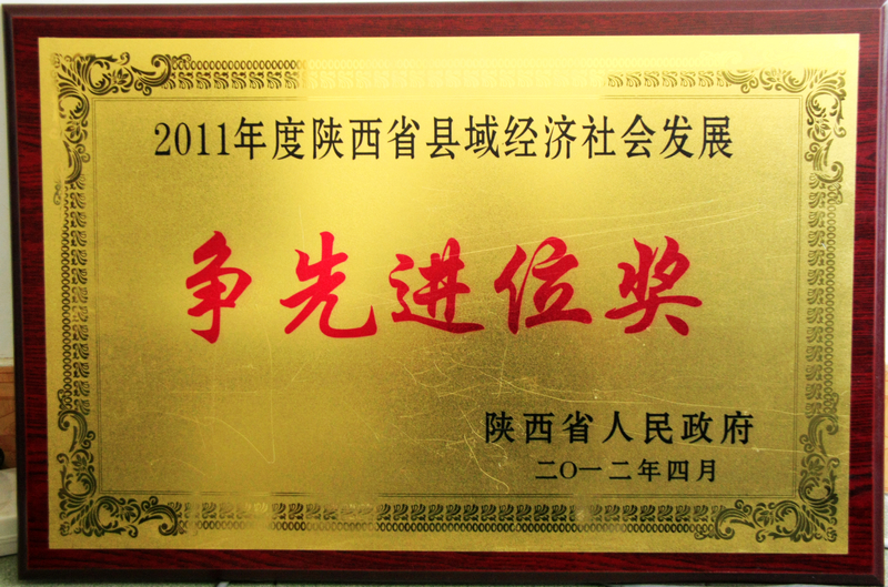 2011年度争先进位奖(1)_佛坪县图片