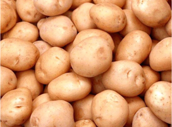 瓜坡土豆